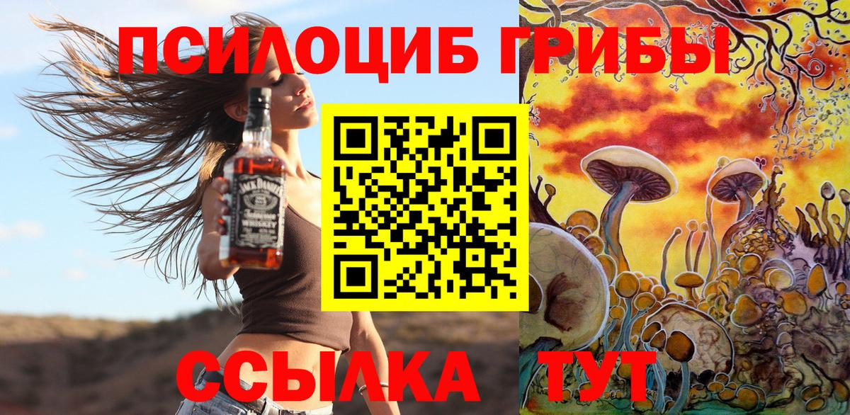 Псилоцибиновые грибы прущие грибы Коркино