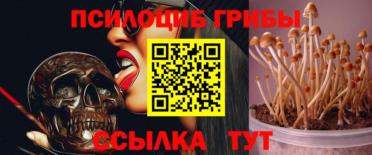 Коркино  Галлюциногенные грибы MAGIC MUSHROOMS  Вход с VPN 
