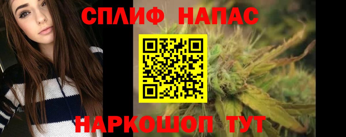 Каннабис конопля Коркино
